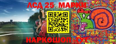 гидра Лесосибирск